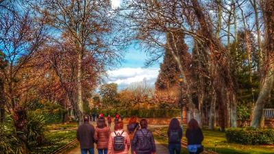 Guided tour of El Bocal Real